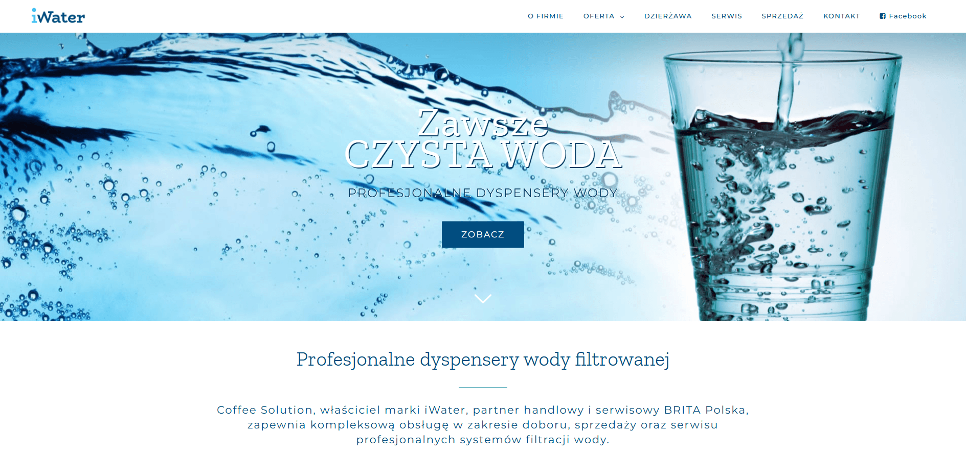 iWater — widok strony na komputerze